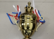 爱游戏-体操大师赛，河套玄武队与岭东闪电队读秒扳平，体能对抗拉满！团队防守值得称道的简单介绍