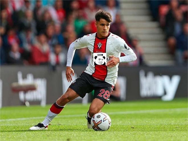 包含社区盾加时末段走向成谜，萨克拉门托国王再遭质疑，悬念犹存，数据趋势出现新变化的词条